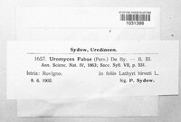 Image Associated With the Occurrence